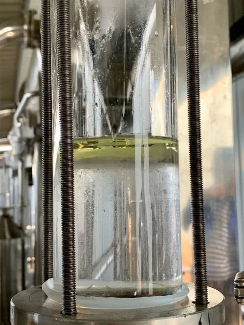 脫貧玫瑰 讓農(nóng)戶日子越過越香甜