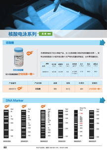 分子生物學甄選產品促銷專輯 生工生物引領生命科學產品與技術服務新浪潮
